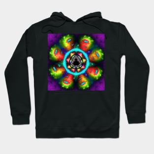 Psychedelic Mandelbrot Fractal Hoodie